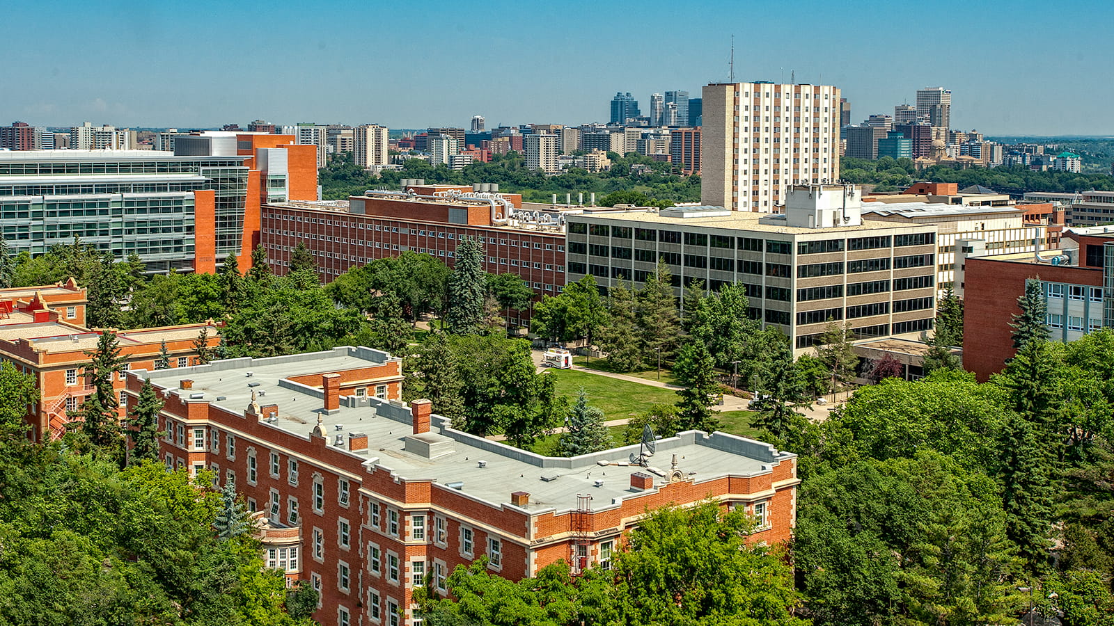 The 2024 QS rankings include the highest number of University of Alberta narrow subjects ever ranked. (Photo: Richard Siemens)